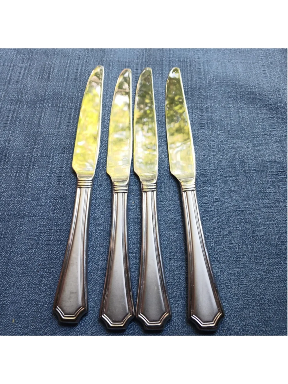 Mikasa TATUM FROST 18/10 Stainless Flatware - Set of 4 Place Dinner Knives Table